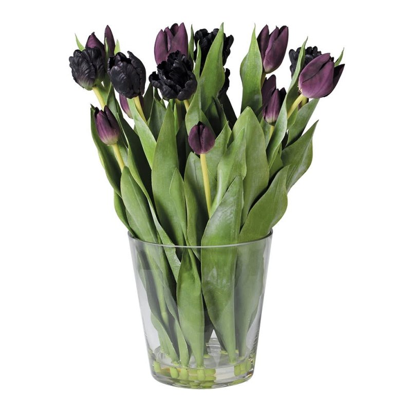 Mixed Black Tulips Arranged in Glass Vase Mixed Black Tulips Arranged in Glass Vase
