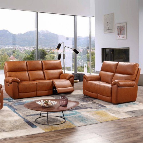 Leather sofas