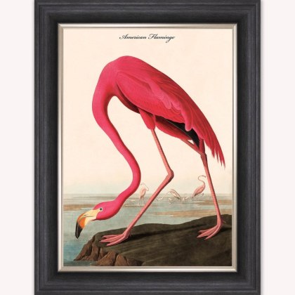 American Flamingo Luxury Velvet Framed Wall Art