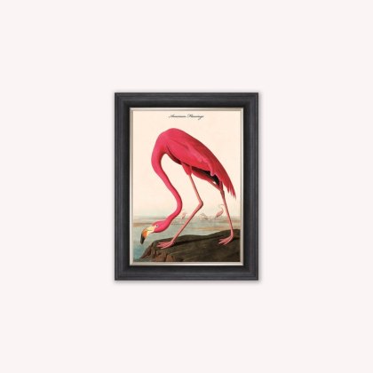 American Flamingo Luxury Velvet Framed Wall Art