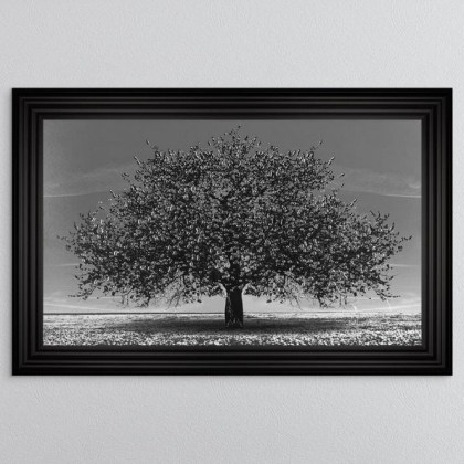 Black Cherry Tree - Matt Black 3 Step Frame - 114x74cm