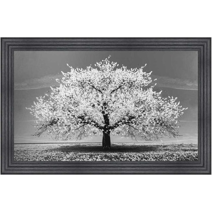 Cherry Tree White - Charcoal Frame - 115x115cm