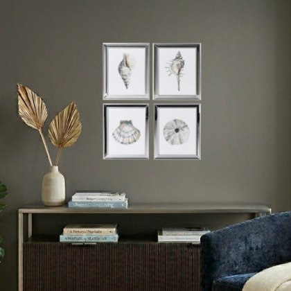 Shell Prints - Set of 4