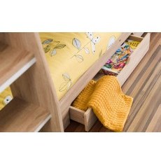 Owen Bunk Bed
