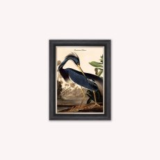 Louisiana Heron Luxury Velvet Framed Wall Art