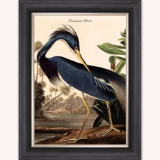 Louisiana Heron Luxury Velvet Framed Wall Art