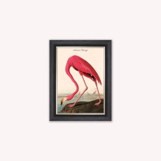 American Flamingo Luxury Velvet Framed Wall Art
