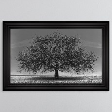 Black Cherry Tree - Matt Black 3 Step Frame - 114x74cm