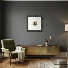 Bumble Bee - Grey Vegas Frame - 55x55cm