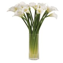 White Calla Lilies in a Glass Column Vase White Calla Lilies in a Glass Column Vase