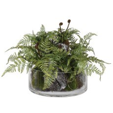 Fern Plant with Bark in Glass