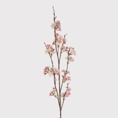 Pink & Cream Cherry Blossom Branch