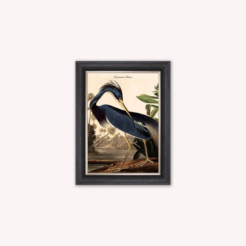 Louisiana Heron Luxury Velvet Framed Wall Art Louisiana Heron Luxury Velvet Framed Wall Art