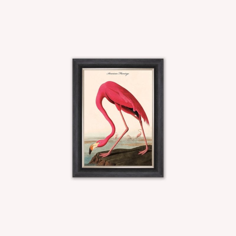 American Flamingo Luxury Velvet Framed Wall Art American Flamingo Luxury Velvet Framed Wall Art