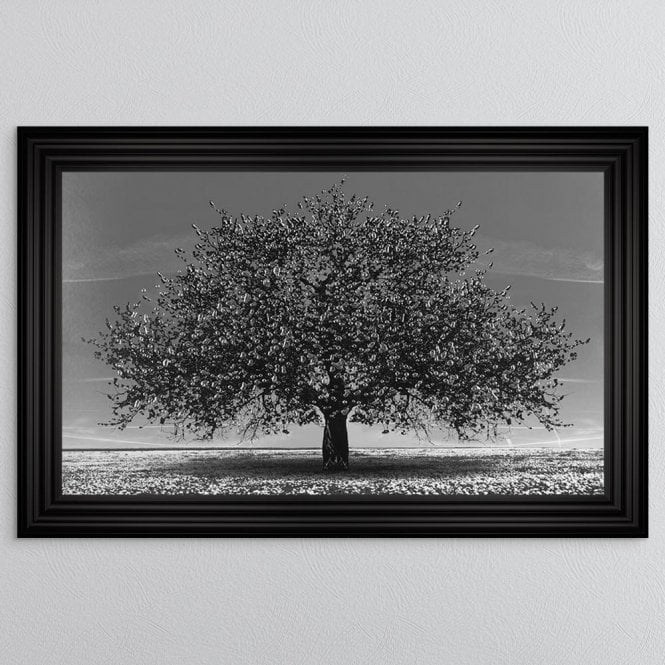 Black Cherry Tree - Matt Black 3 Step Frame - 114x74cm Black Cherry Tree - Matt Black 3 Step Frame - 114x74cm