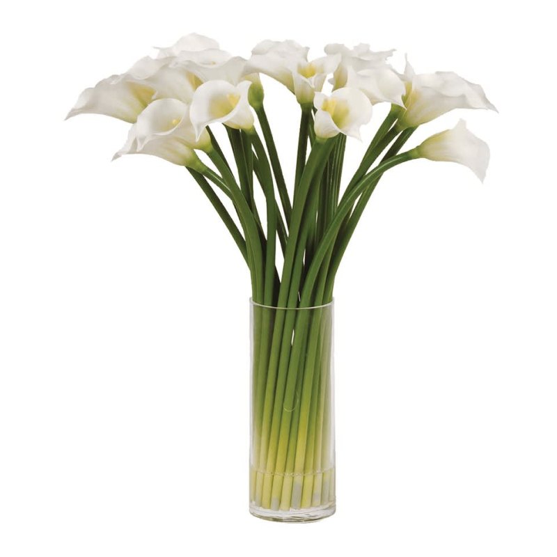 White Calla Lilies in a Glass Column Vase White Calla Lilies in a Glass Column Vase