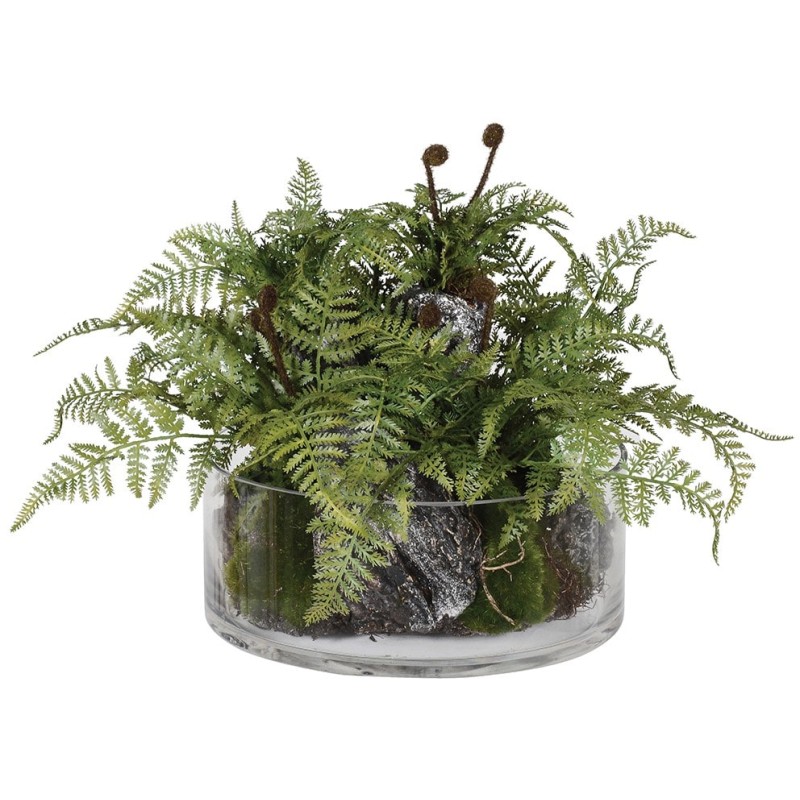 Fern Plant with Bark in Glass Fern Plant with Bark in Glass
