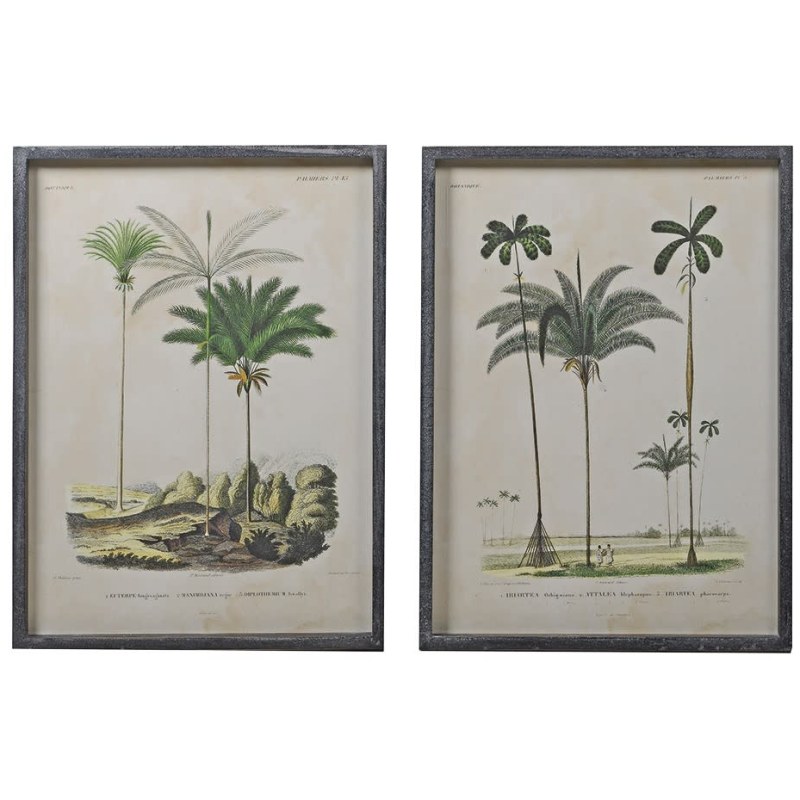 Palm Tree Pictures - Set of 2 Palm Tree Pictures - Set of 2