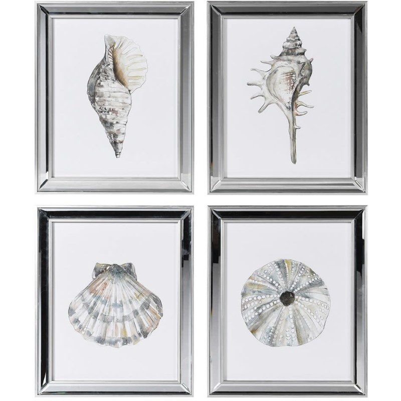 Shell Prints - Set of 4 Shell Prints - Set of 4