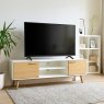 Afton Large TV Cabinet