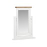 Northwood Swing Mirror Northwood Swing Mirror