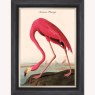 American Flamingo Luxury Velvet Framed Wall Art American Flamingo Luxury Velvet Framed Wall Art