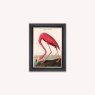 American Flamingo Luxury Velvet Framed Wall Art