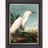 Snowy Heron Luxury Velvet Framed Wall Art Snowy Heron Luxury Velvet Framed Wall Art
