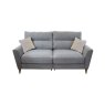 Jersey 2 Seater Standard Back Sofa in Hamilton Silver Feet Rustic Oak - Special Deal