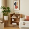 Alverstone Low Bookcase