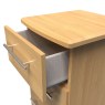 Shalcombe 3 Drawer Locker