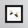 Bee Love - Charcoal Frame - 75x75cm