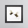 Bee Love - Grey Vegas Frame - 55x55cm