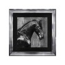 Black Stallion - Chrome Frame - 75x75cm