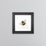 Bumble Bee - Grey Vegas Frame - 55x55cm