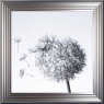 Dandlion Glitz - Silver Frame - 75x75cm