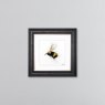 Flying Bee - Grey Vegas Frame - 55x55cm