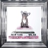 Frenchie Pink - Chrome Frame - 55x55cm