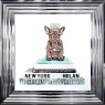 Frenchie Teal - Chrome Frame - 55x55cm