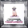 Pug Pink - Chrome Frame - 55x55cm