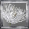 Tulip 1 - Chrome Frame - 75x75cm