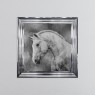 White Stallion - Chrome Frame - 75x75cm