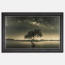 Sea Tree - Grey Vegas Frame - 114x74cm