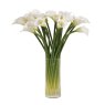 White Calla Lilies in a Glass Column Vase