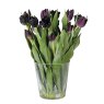 Mixed Black Tulips Arranged in Glass Vase